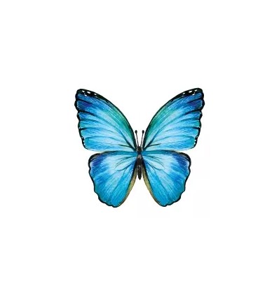 Servilleta Decoupage Mariposa Azul 33x33