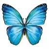 Servilleta Decoupage Mariposa Azul 33x33
