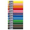 Lapices Alpino 12 Colores Borrable