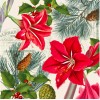 Servilleta Decoupage Amaryllis sobre beige 33x33