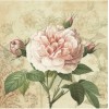 Servilleta Decoupage Rosa vintage  33x33