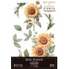 Decor Transfers Girasoles PFY-14813 20x30 cm