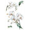 Decor Transfers Home & Deco PFY-14633 20x30 cm