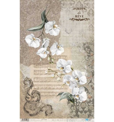 Papel arroz Bug’s Garden 54×33 cm Ref PFY 15101  Papers for you