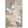 Papel arroz Bug’s Garden 54×33 cm Ref PFY 15101  Papers for you