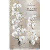 Papel arroz La Vie En Fleurs White Orchid 54×33 cm Ref PFY 15086  Papers for you