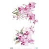 Papel arroz La Vie En Fleurs Pink Orchid 54×33 cm Ref PFY 15129 Papers for you