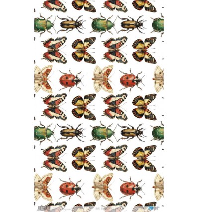 Papel arroz Bug’s Garden 54×33 cm Ref PFY 15137 Papers for you