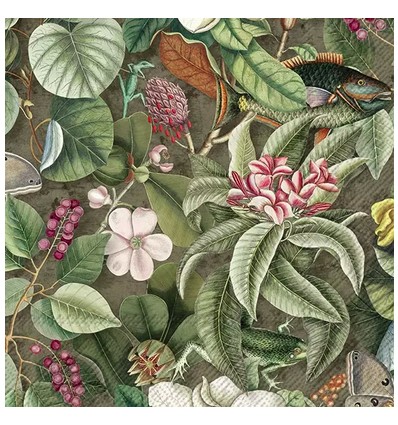 Servilleta 33x33 cm ramitas de eucalipto
