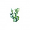 Servilleta Cactus 33x33